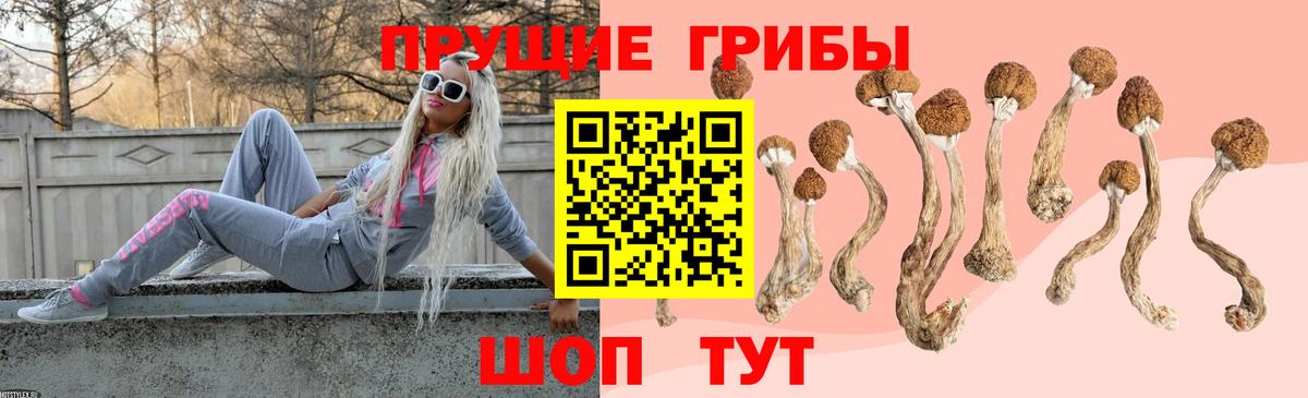 Минусинск  Псилоцибиновые грибы прущие грибы  Вход с VPN  Галлюциногенные грибы GOLDEN TEACHER 